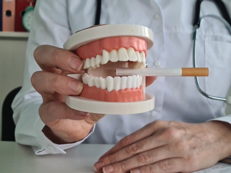 A dentist holding a mock jaw with a cigarette between its teeth